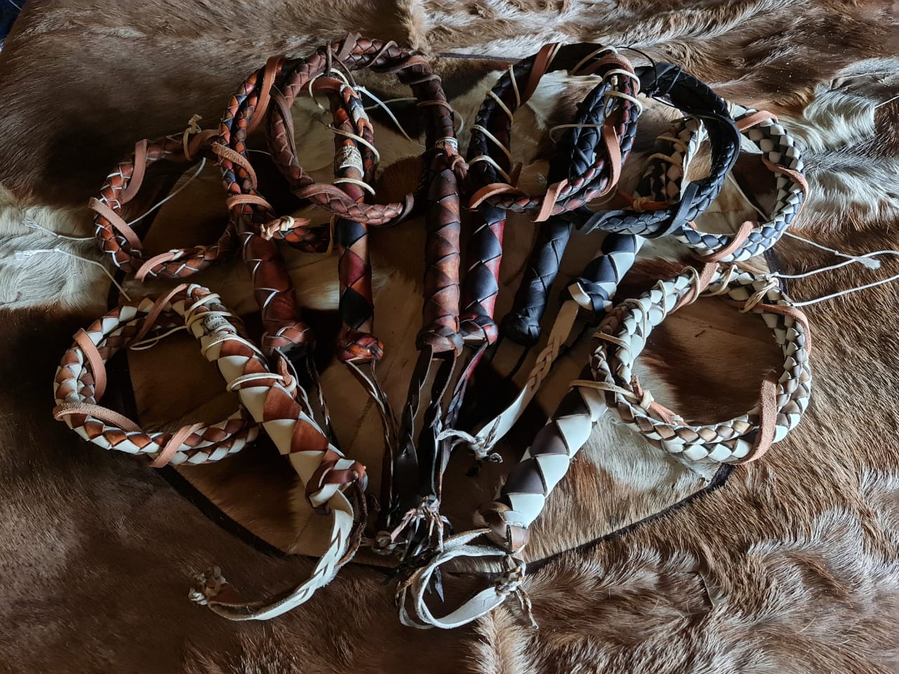 PITBULL BULLWHIP